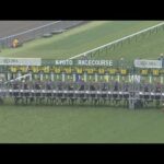 2024 TAKARAZUKA KINEN (G1) | JRA Official