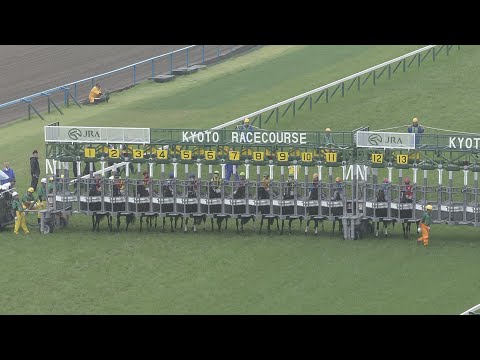 2024 TAKARAZUKA KINEN (G1) | JRA Official