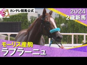 モーリス産駒ラプラーニュが接戦を制す！　松山騎手「強い競馬をしてくれる」　2024年 6月22日(土)２歳新馬　京都芝1400ｍ　実況：岡安譲【カンテレ公式】