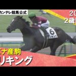 藤田晋オーナーの2億円馬エリキングがデビュー勝ち! 中内田調教師「いい内容、能力は高いです」 2024年 6月23日(日)2歳新馬 京都芝1800m 実況:岡安譲【カンテレ公式】
