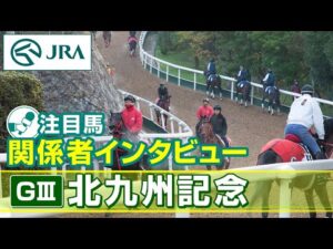 【注目馬 関係者インタビュー】2024年 北九州記念｜JRA公式
