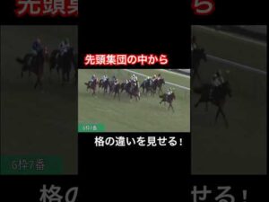 先頭集団から一頭違う伸びを見せる