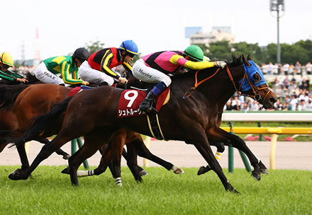 レーンの宝塚記念の騎乗馬はシュトルーヴェ