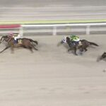 【競馬】帝王賞は藤岡佑騎乗のキングズソードがV