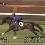 【マーメイドS】ホールネスを狙ってるヤツ