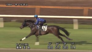 【マーメイドS】ホールネスを狙ってるヤツ