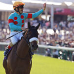 仮に牡馬がG1を10勝するときのローテってこれくらいしかなくない?