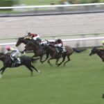【七夕賞2024】出走予定馬・騎手/今年は7月7日七夕開催