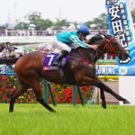 安田記念レーティング ロマンチックウォリアー121、ソウルラッシュ119、ガイアフォース117