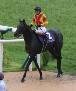 ジャスティンパレスは終わってしまったのか