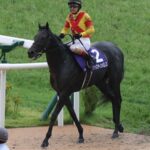 【宝塚記念】ルメール・ジャスティンパレス10着大惨敗