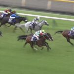 【安田記念2024】結果・動画/ロマンチックウォリアーが日本馬を撃破