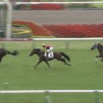【競馬】京都5R注目の新馬戦 川田騎乗のエリキングが快勝 サラコスティ2着