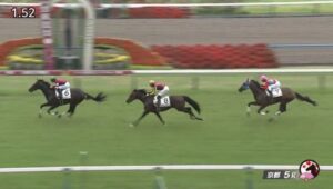 【競馬】京都5R注目の新馬戦 川田騎乗のエリキングが快勝 サラコスティ2着