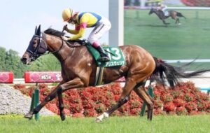 【マーメイドS】4番人気アリスヴェリテ2馬身差V！人馬共に重賞初制覇