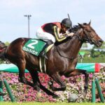 【競馬予想】[1]第41回エプソムカップ(GⅢ) /2024