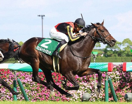 【競馬予想】[1]第41回エプソムカップ(GⅢ) /2024