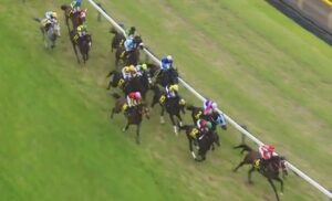 【競馬】ロジリオン三浦　シュトラウスに妨害され激怒「コントロールの効かない馬がいて相当な不利を受けた」