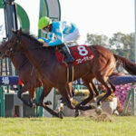 【宝塚記念】◎ブローザホーン本命のヤツ