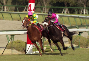 田原成貴「1996年のナリタブライアンは既に終わっていた馬」