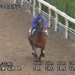 【エプソムカップ2024】追い切り/動きからレースを紐解く