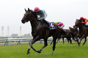 【宝塚記念】ブローザホーン強すぎワロタｗｗｗw