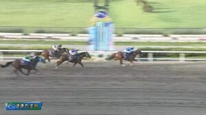 【競馬】さきたま杯は坂井騎乗のレモンポップがＶ