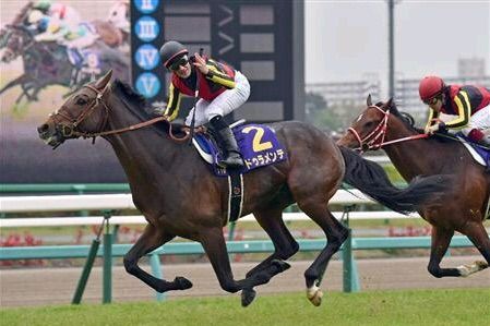 日本近代競馬の結晶だと思う血統の馬