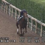 【北九州記念2024】追い切り/調教を見てわかる事