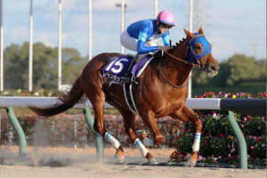 【競馬予想】第28回さきたま杯(Jpn1)/2024 浦和17:45発走
