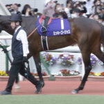 【競馬予想】[2]第29回マーメイドステークス(GⅢ) /2024