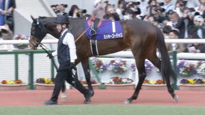 【競馬予想】[2]第29回マーメイドステークス(GⅢ) /2024