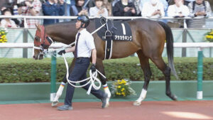 【競馬予想】第31回函館スプリントステークス(GⅢ) /2024