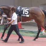 【競馬予想】[1]第29回マーメイドステークス(GⅢ) /2024