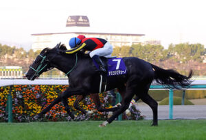 アスコリピチェーノ 秋は京成杯AHで始動！