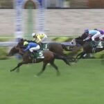 【競馬】ラジオNIKKEI賞は田辺騎乗のオフトレイルが差し切りV