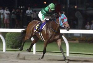 【競馬】関東オークスはアンデスビエントが逃げ切りＶ　田口貫太が重賞初勝利