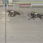 【帝王賞】3番人気キングズソードが抜け出し快勝!Jpn1・2勝目