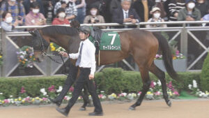 【競馬予想】第59回北九州記念(GⅢ)  / 2024