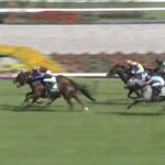 【競馬】鳴尾記念は岩田望騎乗のヨーホーレイクがV