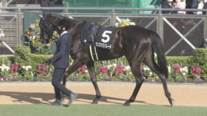 関東オークスのクリスマスパレードに批判殺到「なぜダート使った？」