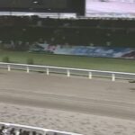 【関東オークス2024】結果・動画/アンデスビエントが7馬身差圧逃