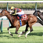 【宝塚記念】ローシャムパーク渋った馬場は歓迎!田中調教師「苦にしないし、適性ある」