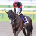 本紙渡辺&柏木集保「セリフォス川田あの位置ではさすがに厳しい。もったいない」