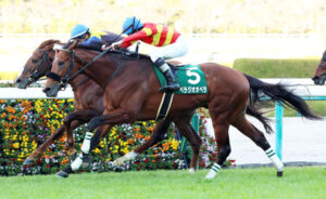 【競馬予想】[4]第65回宝塚記念(GI) /2024