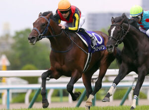 手塚師「フィエールマン産駒はスイスイとは動かない。全体的に奥手だね」