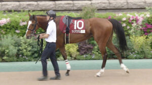 【競馬予想】第73回ラジオNIKKEI賞(GⅢ) / 2024