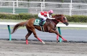 【訃報】マテラスカイ急死