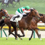 2023年ダービー馬タスティエーラ 宝塚記念回避