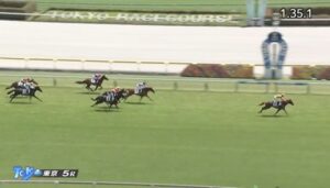 【競馬】東京5R新馬戦 菅原明騎乗のコートアリシアンが5馬身差の快勝 サートゥルナーリア産駒が初勝利